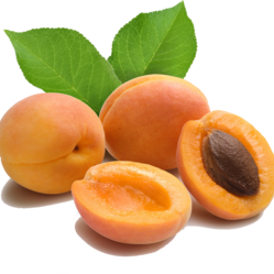 Apricot